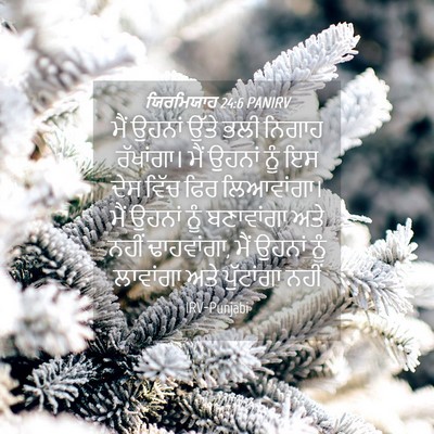 Picture 04 - ਯਿਰਮਿਯਾਹ 24:6 PANIRV - ਮੈਂ ਉਹਨਾਂ ਉੱਤੇ ਭਲੀ - Bible Verse Picture