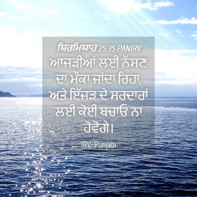 Picture 04 - ਯਿਰਮਿਯਾਹ 25:35 PANIRV - ਆਜੜੀਆਂ ਲਈ ਨੱਸਣ ਦਾ - Bible Verse Picture