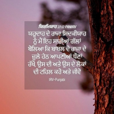 Picture 04 - ਯਿਰਮਿਯਾਹ 27:12 PANIRV - ਯਹੂਦਾਹ ਦੇ ਰਾਜਾ - Bible Verse Picture