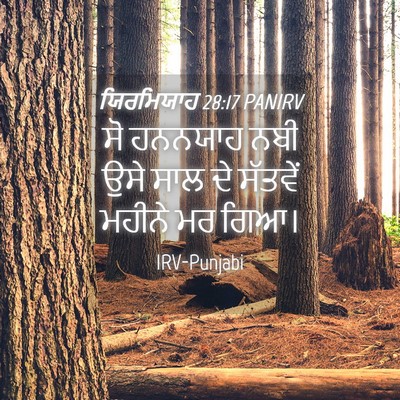 Picture 04 - ਯਿਰਮਿਯਾਹ 28:17 PANIRV - ਸੋ ਹਨਨਯਾਹ ਨਬੀ ਉਸੇ - Bible Verse Picture