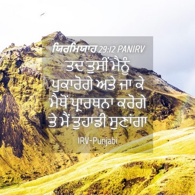 Picture 04 - ਯਿਰਮਿਯਾਹ 29:12 PANIRV - ਤਦ ਤੁਸੀਂ ਮੈਨੂੰ - Bible Verse Picture