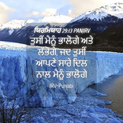 Picture 04 - ਯਿਰਮਿਯਾਹ 29:13 PANIRV - ਤੁਸੀਂ ਮੈਨੂੰ - Bible Verse Picture