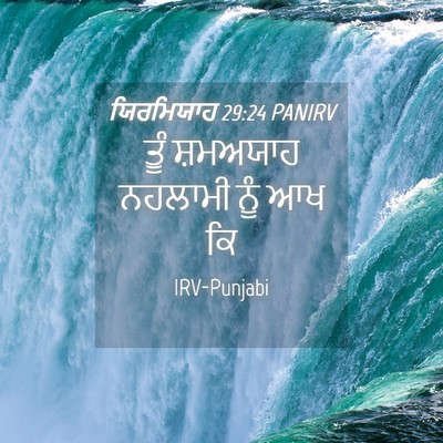 Picture 04 - ਯਿਰਮਿਯਾਹ 29:24 PANIRV - ਤੂੰ ਸ਼ਮਅਯਾਹ - Bible Verse Picture