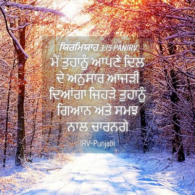 Picture 04 - ਯਿਰਮਿਯਾਹ 3:15 PANIRV - ਮੈਂ ਤੁਹਾਨੂੰ ਆਪਣੇ - Bible Verse Picture