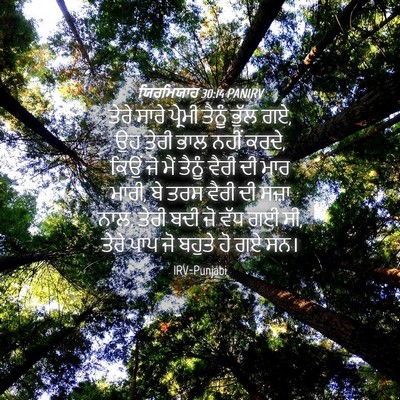 Picture 04 - ਯਿਰਮਿਯਾਹ 30:14 PANIRV - ਤੇਰੇ ਸਾਰੇ ਪ੍ਰੇਮੀ - Bible Verse Picture
