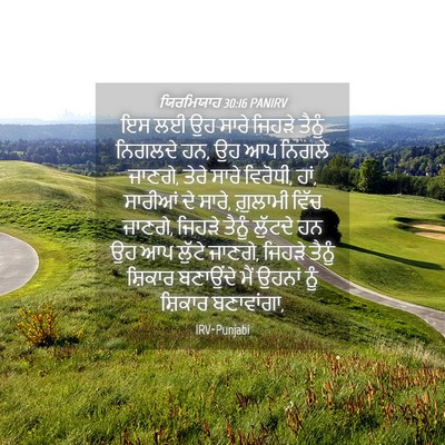 Picture 04 - ਯਿਰਮਿਯਾਹ 30:16 PANIRV - ਇਸ ਲਈ ਉਹ ਸਾਰੇ ਜਿਹੜੇ - Bible Verse Picture
