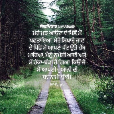 Picture 04 - ਯਿਰਮਿਯਾਹ 31:19 PANIRV - ਮੇਰੇ ਮੁੜ ਆਉਣ ਦੇ - Bible Verse Picture