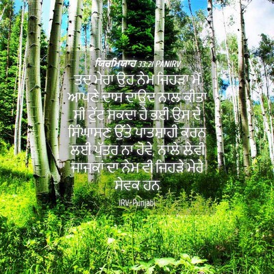 Picture 04 - ਯਿਰਮਿਯਾਹ 33:21 PANIRV - ਤਦ ਮੇਰਾ ਉਹ ਨੇਮ - Bible Verse Picture