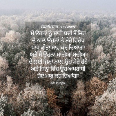 Picture 04 - ਯਿਰਮਿਯਾਹ 33:8 PANIRV - ਮੈਂ ਉਹਨਾਂ ਨੂੰ ਸਾਰੀ - Bible Verse Picture