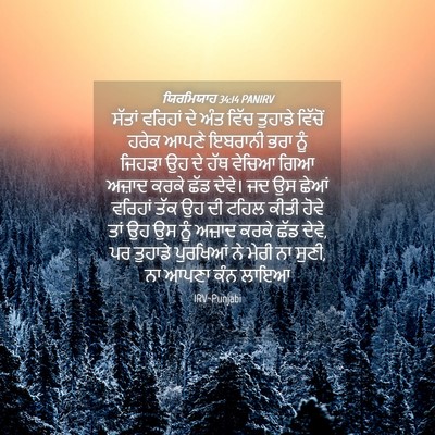 Picture 04 - ਯਿਰਮਿਯਾਹ 34:14 PANIRV - ਸੱਤਾਂ ਵਰਿਹਾਂ ਦੇ - Bible Verse Picture