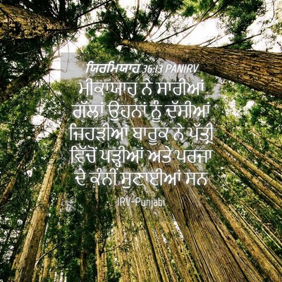 Picture 04 - ਯਿਰਮਿਯਾਹ 36:13 PANIRV - ਮੀਕਾਯਾਹ ਨੇ ਸਾਰੀਆਂ - Bible Verse Picture