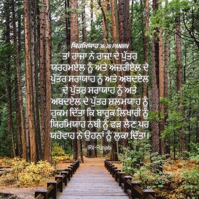 Picture 04 - ਯਿਰਮਿਯਾਹ 36:26 PANIRV - ਤਾਂ ਰਾਜਾ ਨੇ ਰਾਜਾ ਦੇ - Bible Verse Picture