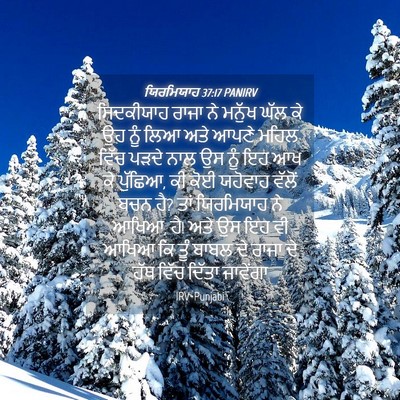 Picture 04 - ਯਿਰਮਿਯਾਹ 37:17 PANIRV - ਸਿਦਕੀਯਾਹ ਰਾਜਾ ਨੇ - Bible Verse Picture