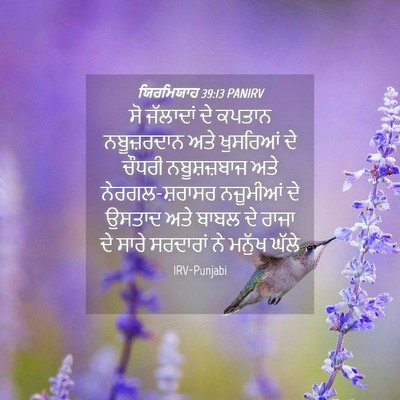 Picture 04 - ਯਿਰਮਿਯਾਹ 39:13 PANIRV - ਸੋ ਜੱਲਾਦਾਂ ਦੇ - Bible Verse Picture