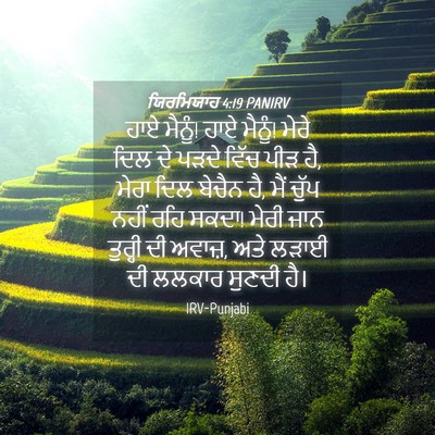 Picture 04 - ਯਿਰਮਿਯਾਹ 4:19 PANIRV - ਹਾਏ ਮੈਨੂੰ! ਹਾਏ - Bible Verse Picture
