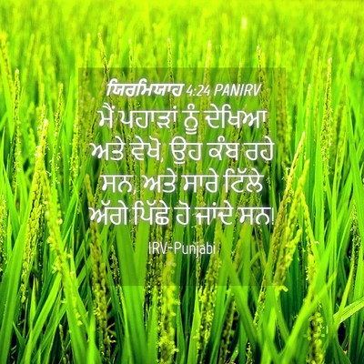 Picture 04 - ਯਿਰਮਿਯਾਹ 4:24 PANIRV - ਮੈਂ ਪਹਾੜਾਂ ਨੂੰ - Bible Verse Picture