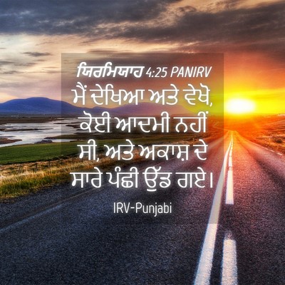 Picture 04 - ਯਿਰਮਿਯਾਹ 4:25 PANIRV - ਮੈਂ ਦੇਖਿਆ ਅਤੇ ਵੇਖੋ, - Bible Verse Picture