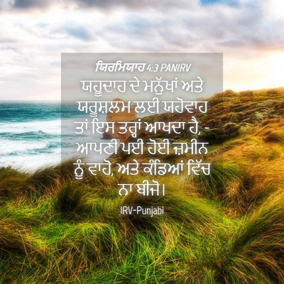 Picture 04 - ਯਿਰਮਿਯਾਹ 4:3 PANIRV - ਯਹੂਦਾਹ ਦੇ ਮਨੁੱਖਾਂ - Bible Verse Picture