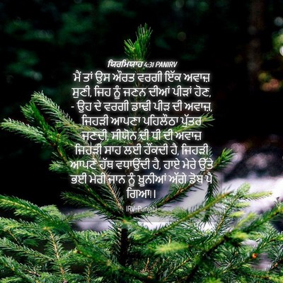 Picture 04 - ਯਿਰਮਿਯਾਹ 4:31 PANIRV - ਮੈਂ ਤਾਂ ਉਸ ਔਰਤ ਵਰਗੀ - Bible Verse Picture