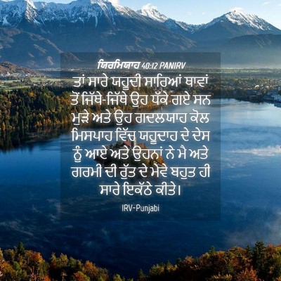 Picture 04 - ਯਿਰਮਿਯਾਹ 40:12 PANIRV - ਤਾਂ ਸਾਰੇ ਯਹੂਦੀ - Bible Verse Picture