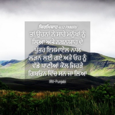 Picture 04 - ਯਿਰਮਿਯਾਹ 41:12 PANIRV - ਤਾਂ ਉਹਨਾਂ ਨੇ ਸਾਰੇ - Bible Verse Picture