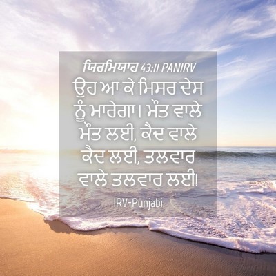 Picture 04 - ਯਿਰਮਿਯਾਹ 43:11 PANIRV - ਉਹ ਆ ਕੇ ਮਿਸਰ ਦੇਸ - Bible Verse Picture