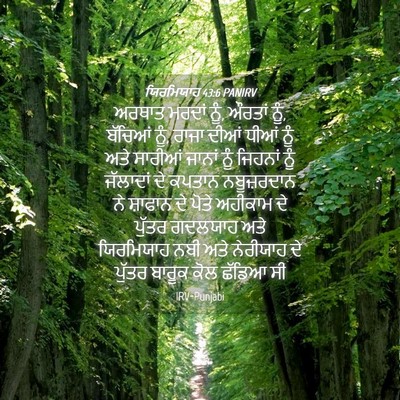 Picture 04 - ਯਿਰਮਿਯਾਹ 43:6 PANIRV - ਅਰਥਾਤ ਮਰਦਾਂ ਨੂੰ, - Bible Verse Picture