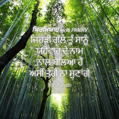Picture 04 - ਯਿਰਮਿਯਾਹ 44:16 PANIRV - ਜਿਹੜੀ ਗੱਲ ਤੂੰ - Bible Verse Picture