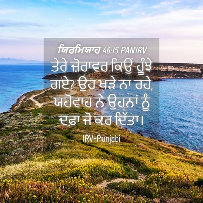 Picture 04 - ਯਿਰਮਿਯਾਹ 46:15 PANIRV - ਤੇਰੇ ਜ਼ੋਰਾਵਰ ਕਿਉਂ - Bible Verse Picture