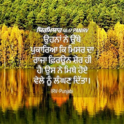 Picture 04 - ਯਿਰਮਿਯਾਹ 46:17 PANIRV - ਉਹਨਾਂ ਨੇ ਉੱਥੇ - Bible Verse Picture