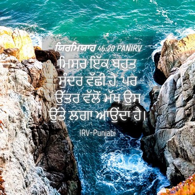 Picture 04 - ਯਿਰਮਿਯਾਹ 46:20 PANIRV - ਮਿਸਰ ਇੱਕ ਬਹੁਤ - Bible Verse Picture
