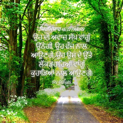 Picture 04 - ਯਿਰਮਿਯਾਹ 46:22 PANIRV - ਉਹ ਦੀ ਅਵਾਜ਼ ਸੱਪ - Bible Verse Picture