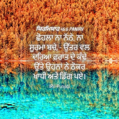 Picture 04 - ਯਿਰਮਿਯਾਹ 46:6 PANIRV - ਛੋਹਲਾ ਨਾ ਨੱਠੇ, ਨਾ - Bible Verse Picture