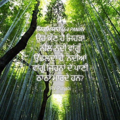 Picture 04 - ਯਿਰਮਿਯਾਹ 46:7 PANIRV - ਉਹ ਕੌਣ ਹੈ ਜਿਹੜਾ ਨੀਲ - Bible Verse Picture