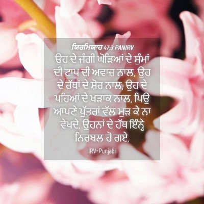 Picture 04 - ਯਿਰਮਿਯਾਹ 47:3 PANIRV - ਉਹ ਦੇ ਜੰਗੀ ਘੋੜਿਆਂ - Bible Verse Picture