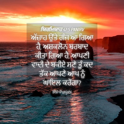 Picture 04 - ਯਿਰਮਿਯਾਹ 47:5 PANIRV - ਅੱਜ਼ਾਹ ਉੱਤੇ ਗੰਜ ਆ - Bible Verse Picture