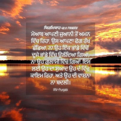 Picture 04 - ਯਿਰਮਿਯਾਹ 48:11 PANIRV - ਮੋਆਬ ਆਪਣੀ ਜੁਆਨੀ - Bible Verse Picture