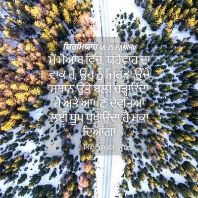Picture 04 - ਯਿਰਮਿਯਾਹ 48:35 PANIRV - ਮੈਂ ਮੋਆਬ ਵਿੱਚ, - Bible Verse Picture