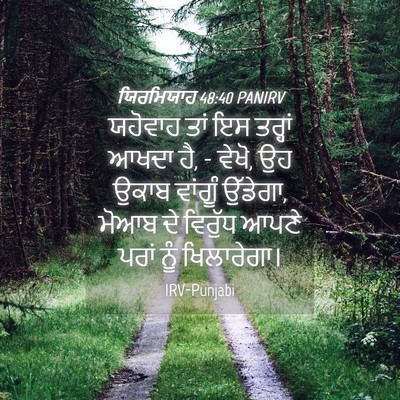 Picture 04 - ਯਿਰਮਿਯਾਹ 48:40 PANIRV - ਯਹੋਵਾਹ ਤਾਂ ਇਸ - Bible Verse Picture