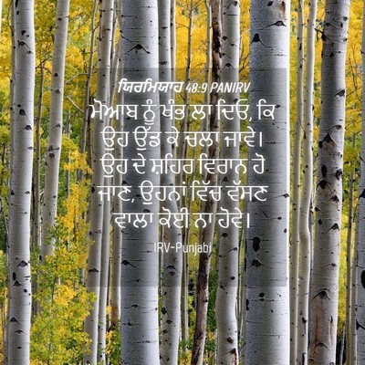 Picture 04 - ਯਿਰਮਿਯਾਹ 48:9 PANIRV - ਮੋਆਬ ਨੂੰ ਖੰਭ ਲਾ - Bible Verse Picture