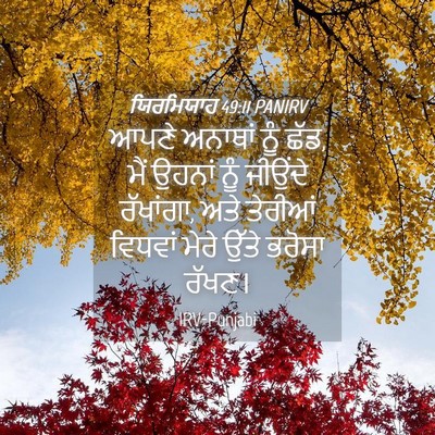 Picture 04 - ਯਿਰਮਿਯਾਹ 49:11 PANIRV - ਆਪਣੇ ਅਨਾਥਾਂ ਨੂੰ - Bible Verse Picture