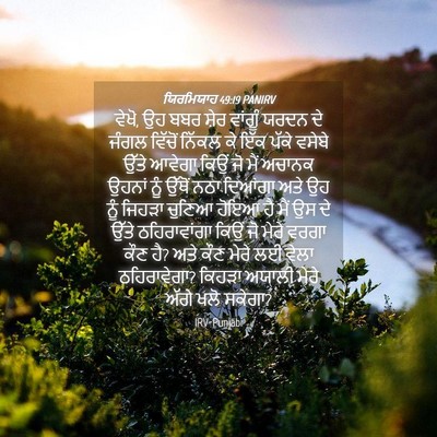 Picture 04 - ਯਿਰਮਿਯਾਹ 49:19 PANIRV - ਵੇਖੋ, ਉਹ ਬਬਰ ਸ਼ੇਰ - Bible Verse Picture