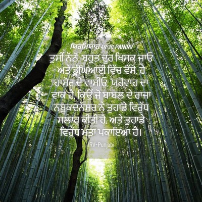 Picture 04 - ਯਿਰਮਿਯਾਹ 49:30 PANIRV - ਤੁਸੀਂ ਨੱਠੋ, ਬਹੁਤ - Bible Verse Picture
