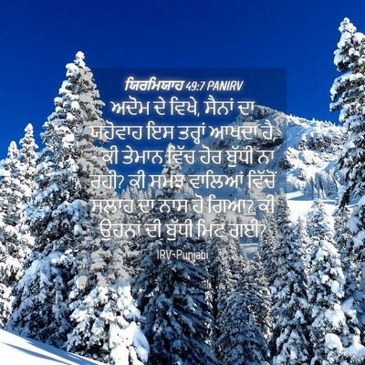 Picture 04 - ਯਿਰਮਿਯਾਹ 49:7 PANIRV - ਅਦੋਮ ਦੇ ਵਿਖੇ, ਸੈਨਾਂ - Bible Verse Picture