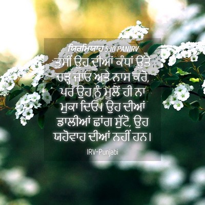 Picture 04 - ਯਿਰਮਿਯਾਹ 5:10 PANIRV - ਤੁਸੀਂ ਉਹ ਦੀਆਂ - Bible Verse Picture