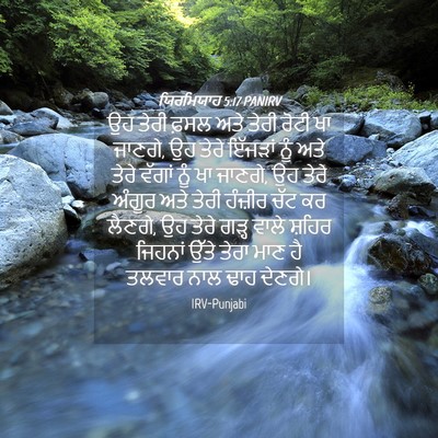 Picture 04 - ਯਿਰਮਿਯਾਹ 5:17 PANIRV - ਉਹ ਤੇਰੀ ਫ਼ਸਲ ਅਤੇ - Bible Verse Picture