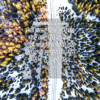 Picture 04 - ਯਿਰਮਿਯਾਹ 5:26 PANIRV - ਮੇਰੀ ਪਰਜਾ ਵਿੱਚ ਤਾਂ - Bible Verse Picture