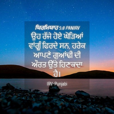 Picture 04 - ਯਿਰਮਿਯਾਹ 5:8 PANIRV - ਉਹ ਰੱਜੇ ਹੋਏ ਘੋੜਿਆਂ - Bible Verse Picture