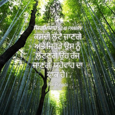 Picture 04 - ਯਿਰਮਿਯਾਹ 50:10 PANIRV - ਕਸਦੀ ਲੁੱਟੇ ਜਾਣਗੇ - Bible Verse Picture
