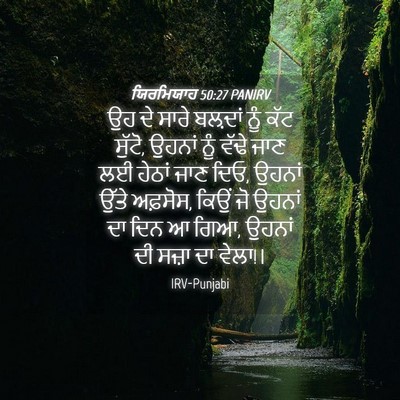 Picture 04 - ਯਿਰਮਿਯਾਹ 50:27 PANIRV - ਉਹ ਦੇ ਸਾਰੇ ਬਲ਼ਦਾਂ - Bible Verse Picture